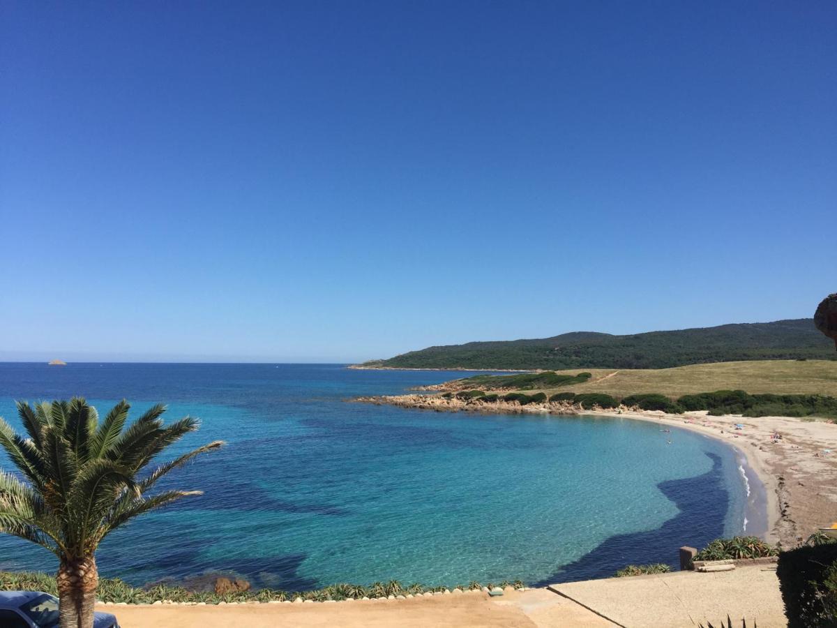 Ajaccio Magnifique T2 45M2 Neuf 5 Personnes Clim Wifi Stationnement Gratuit Centre Ville Plage A 300M Zewnętrze zdjęcie